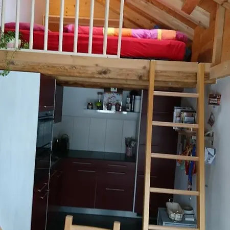 Apartment Chalet Giisstalli