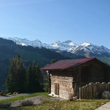 Apartment Chalet Giisstalli